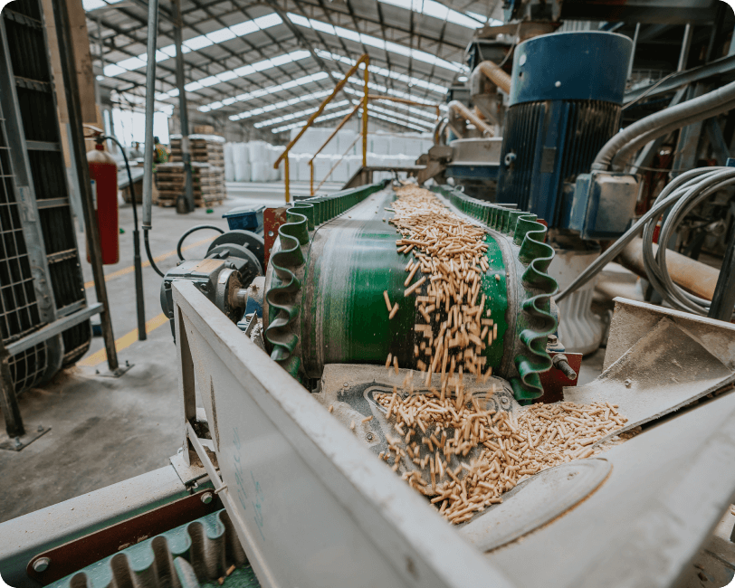 proveedor de soluciones energéticas basadas en biomasa para personas y empresas