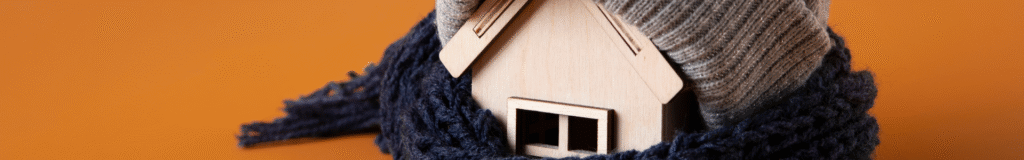 Guía para elegir tu primer calefactor a pellet2