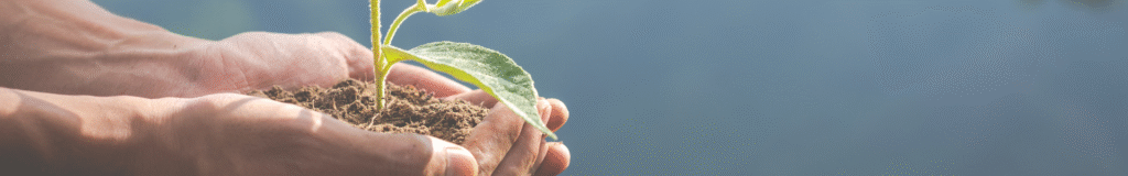 Guía para elegir tu primer calefactor a pellet3