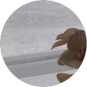 Cristina Oyarzo profile picture